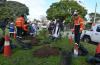 Plantaciones 2025