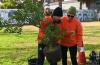 Plantaciones 2025