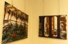 Exposición Fotográfica, diciembre del 2015. Extensión en Imágenes de la FIC de l