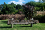 Curso Cannabis en el Jardín Botánico