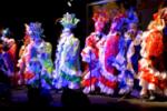 Carnaval en las Duranas