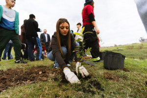 Se realizaron talleres y plantaciones en la Plaza Pepe D'elia, el Jardín Botánico y el Arroyo Miguelete